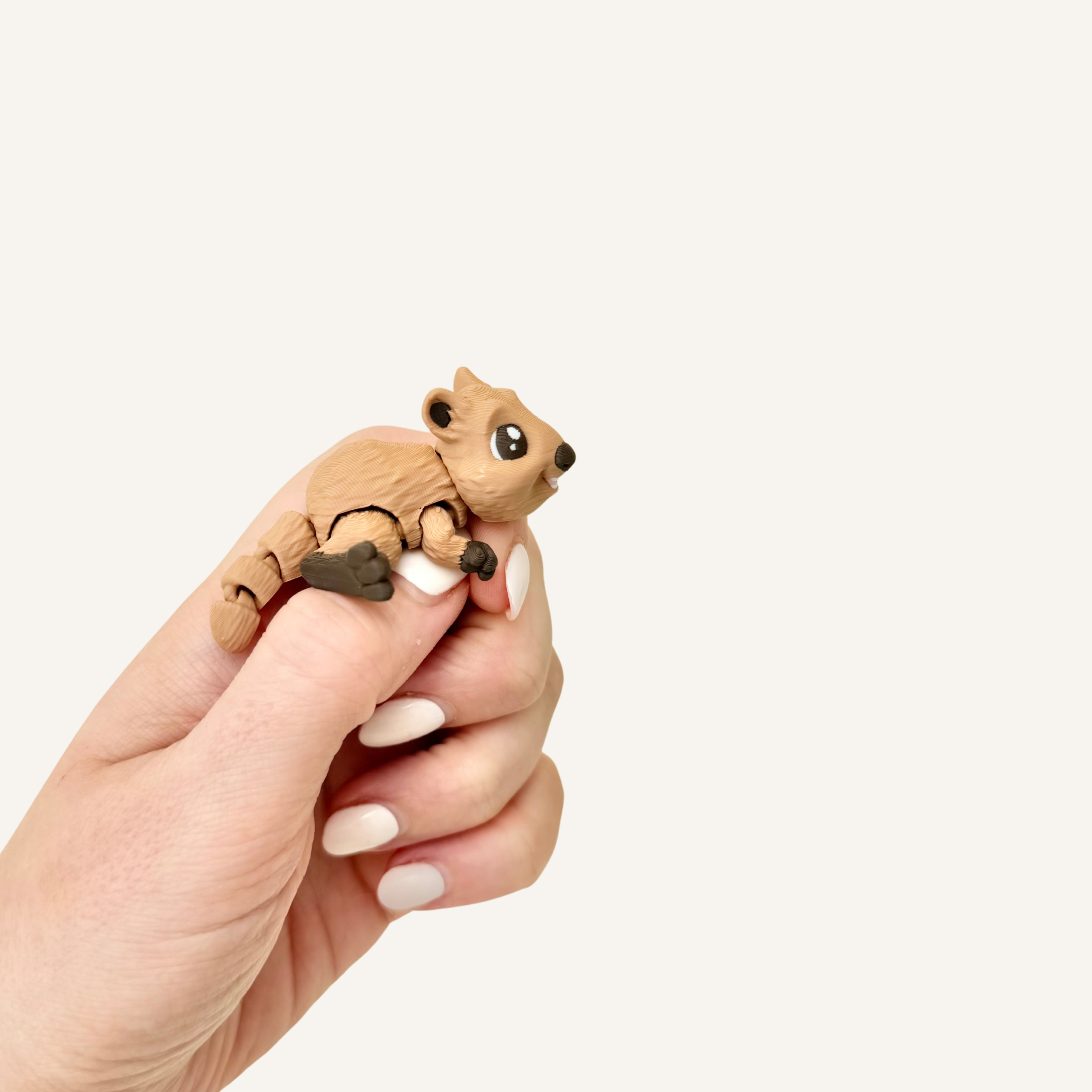 Quokka Pocket Friend