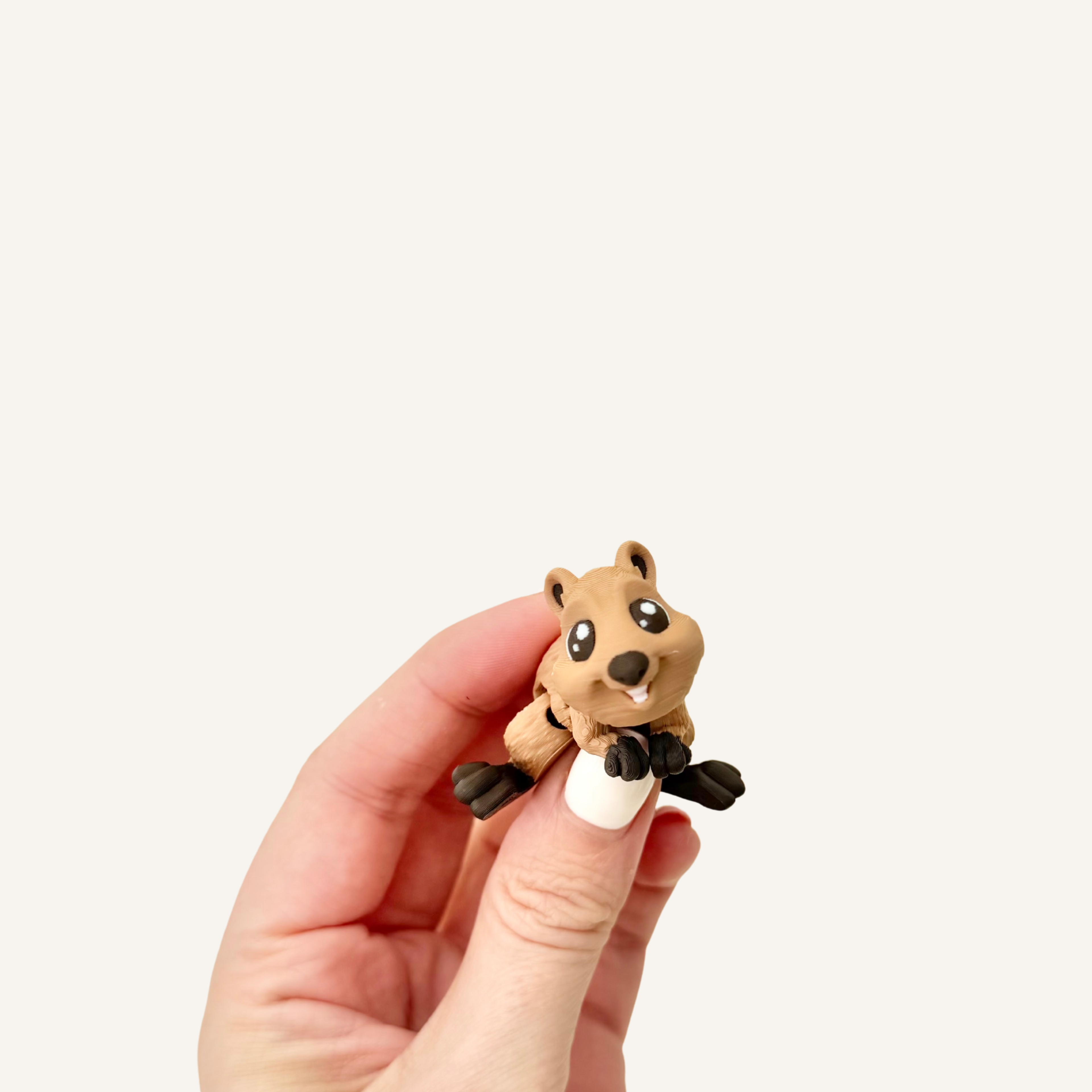 Quokka Pocket Friend