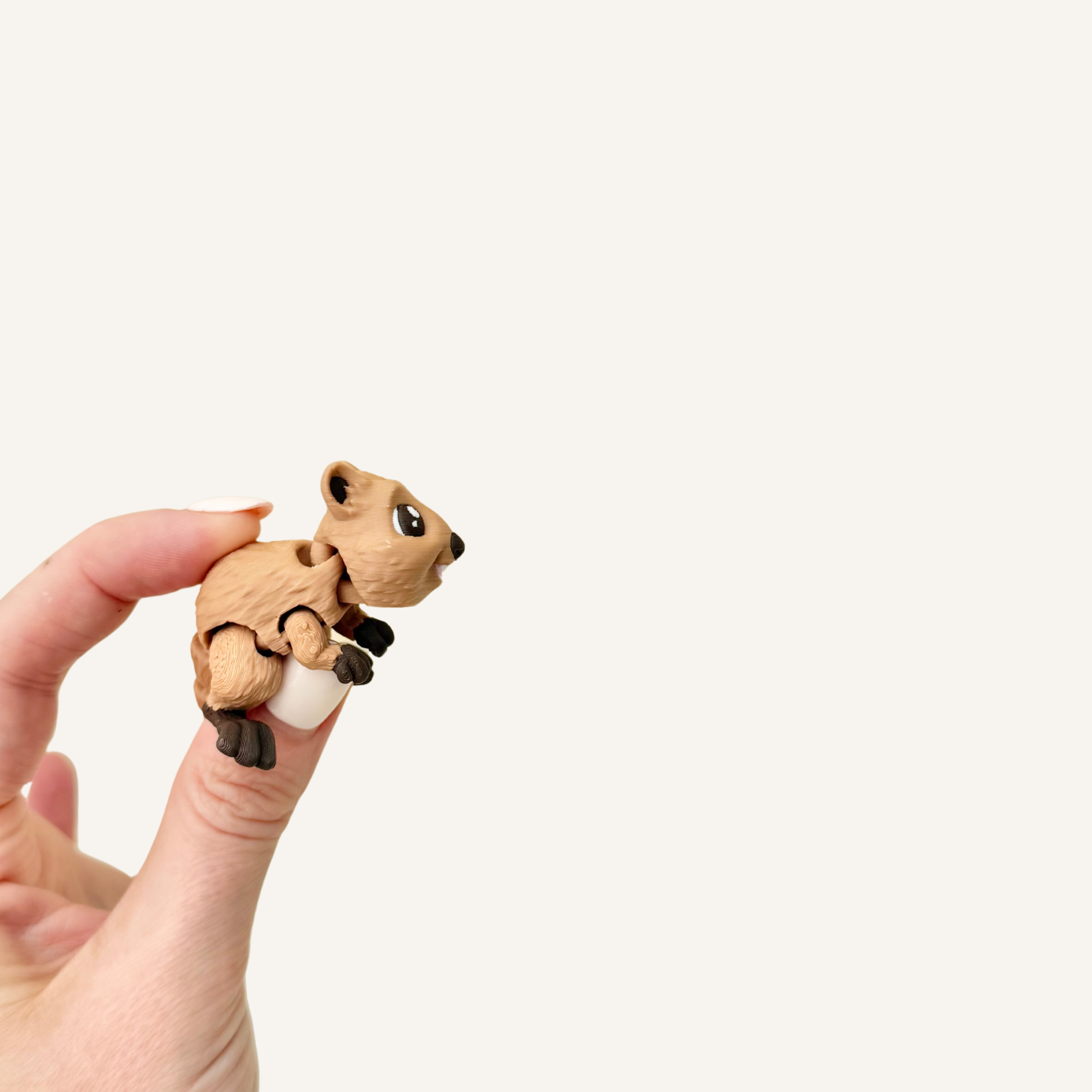 Quokka Pocket Friend