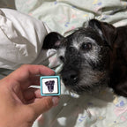 My Pet Clicker | Personalised Pet Photo Fidget