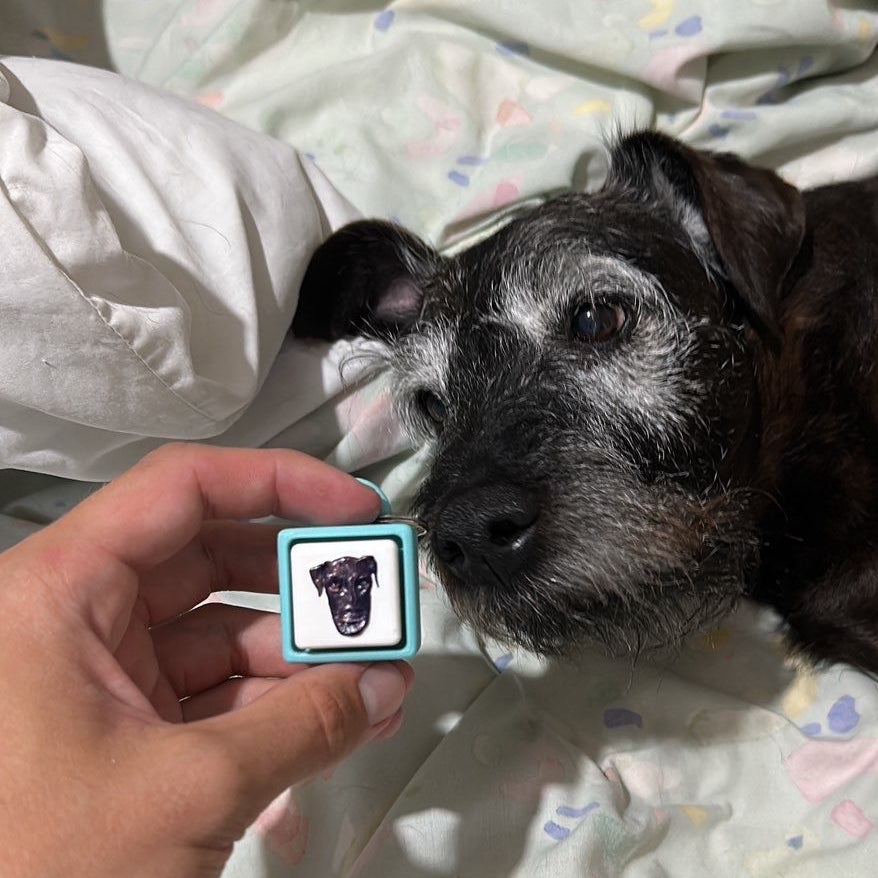 My Pet Clicker | Personalised Pet Photo Fidget