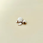 Cute turtle fidget with pastry shell aesthetic, designed for calming, repetitive stims.