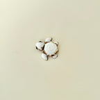 Handheld turtle fidget featuring mixed smooth and raised textures for sensory input.
