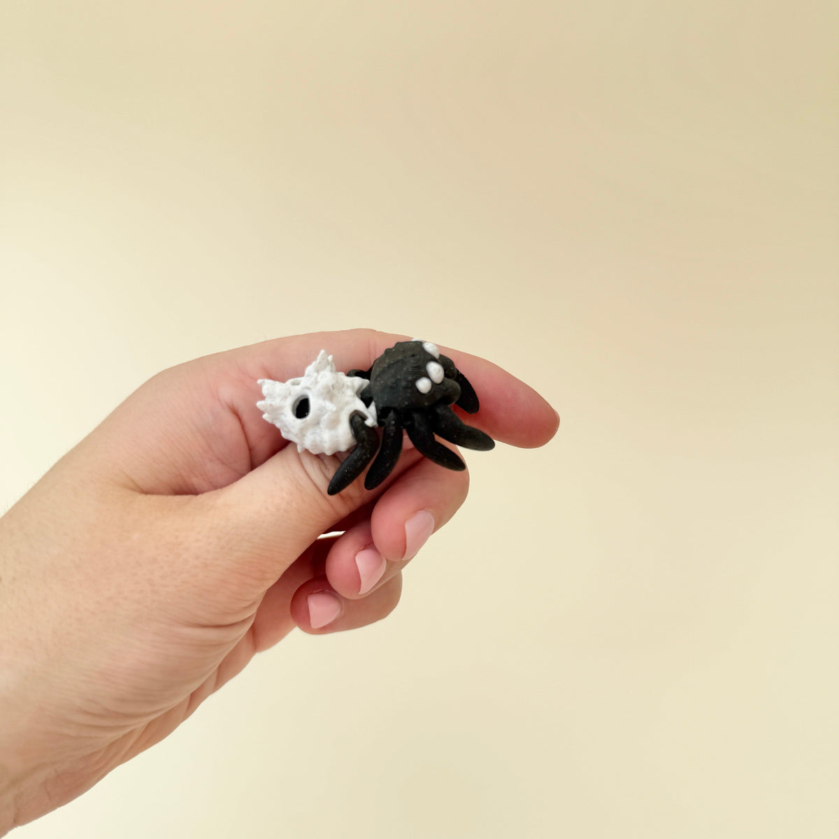 spooky spider-themed sensory fidget with textured details for stress relief
