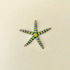 A smooth, articulated starfish designed for quiet desk fidgeting and everyday sensory use.
