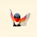 A rainbow-coloured hummingbird fidget toy with articulated wings and a sleek black beak.