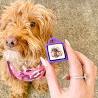 My Pet Clicker | Personalised Pet Photo Fidget