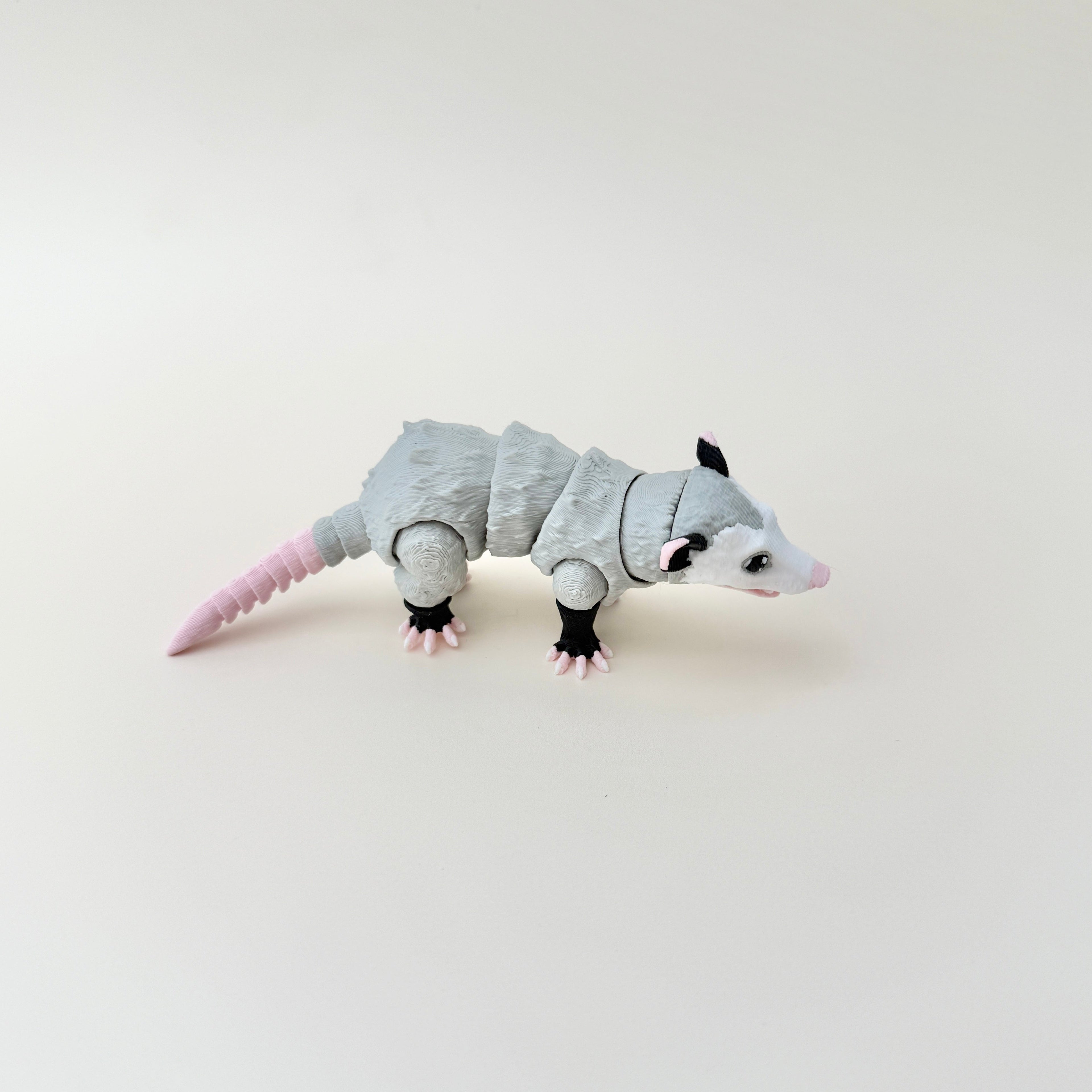 Possum