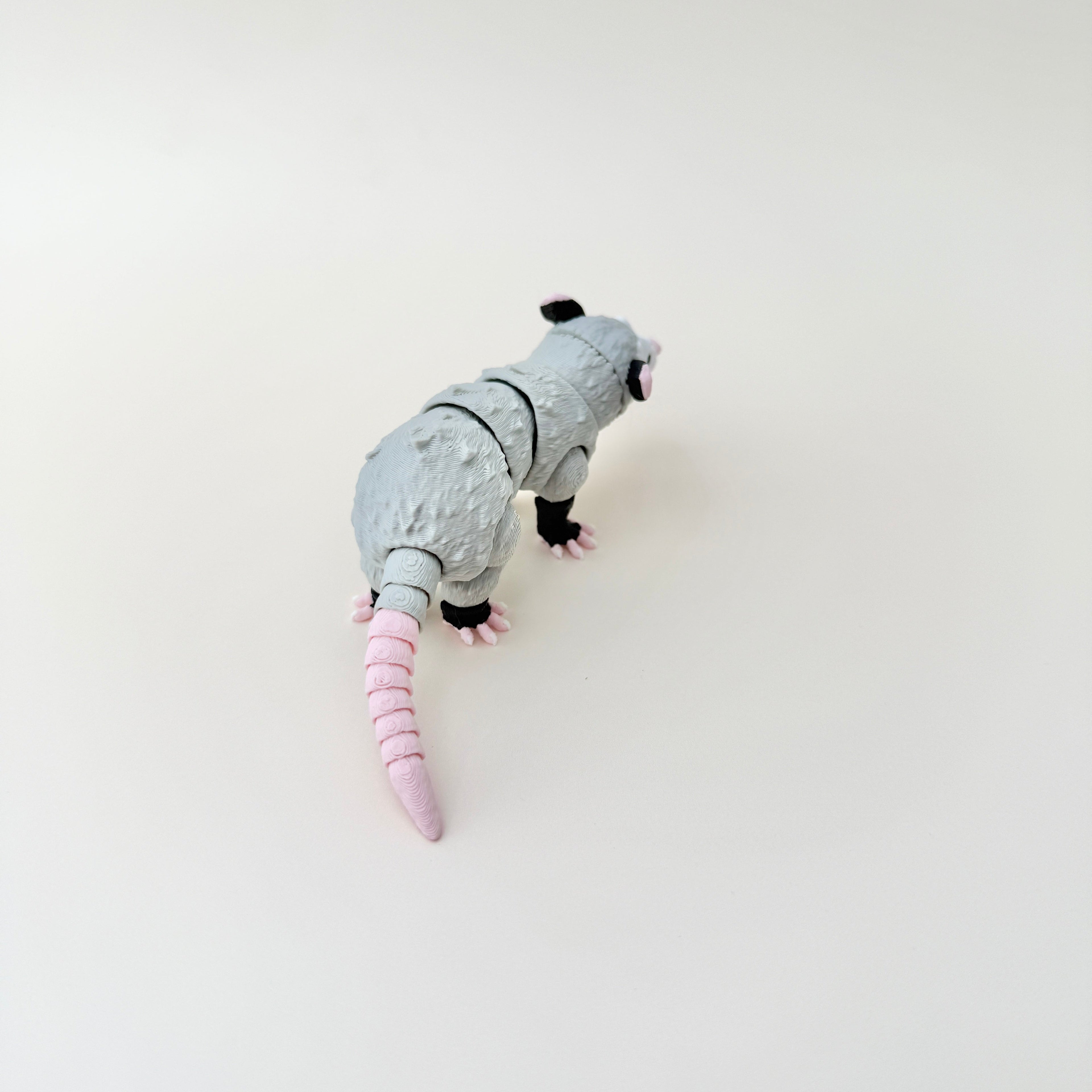 Possum