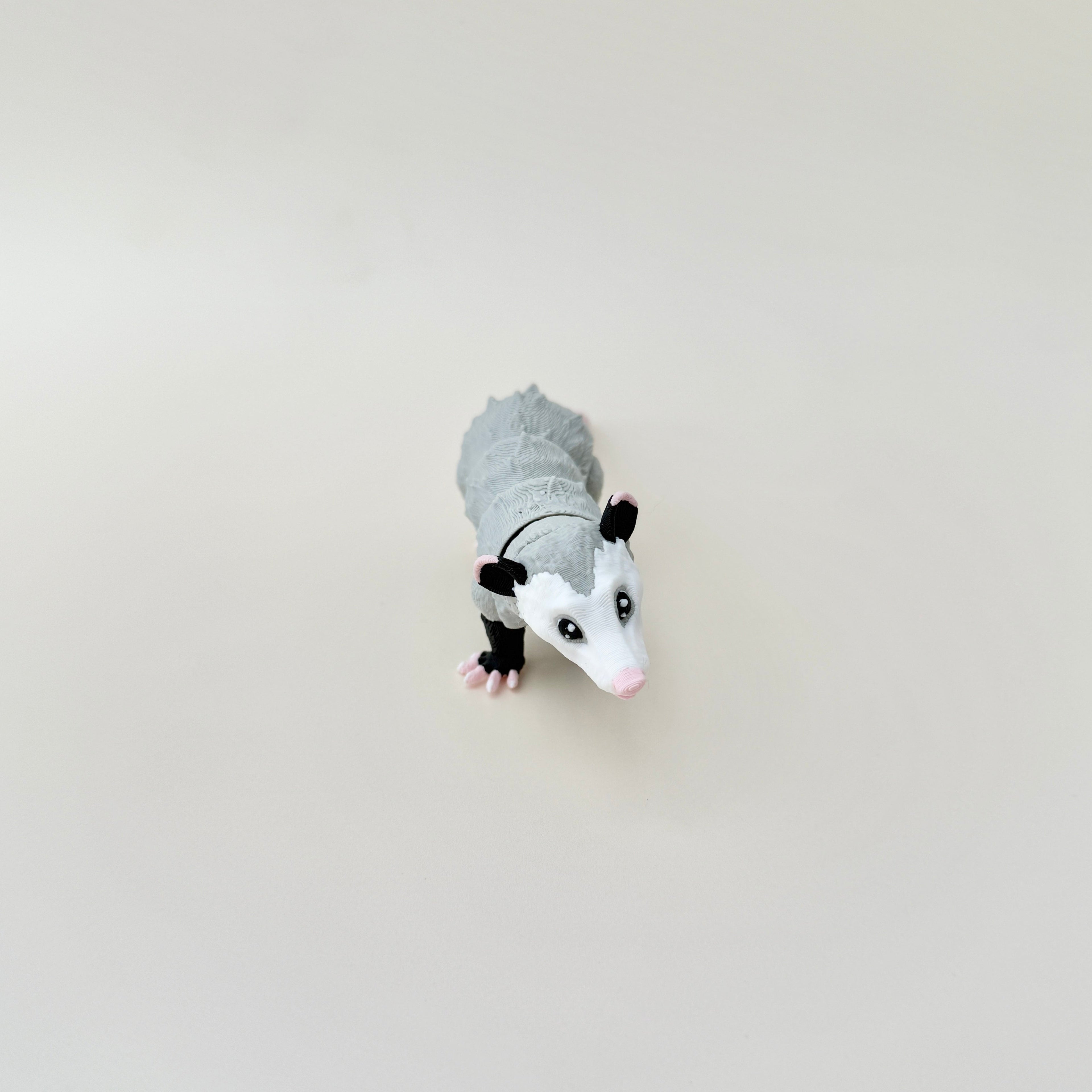 A versatile possum fidget toy designed for display, fidgeting, and sensory engagement, ideal for both kids and adults.
