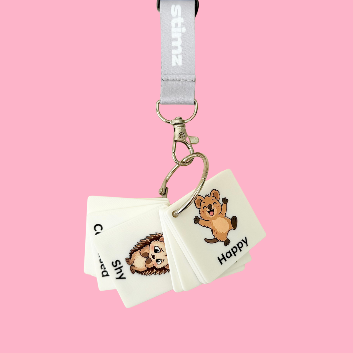 Animal Feelings visual communication tiles attached to an opening metal binder ring for easy everyday access.