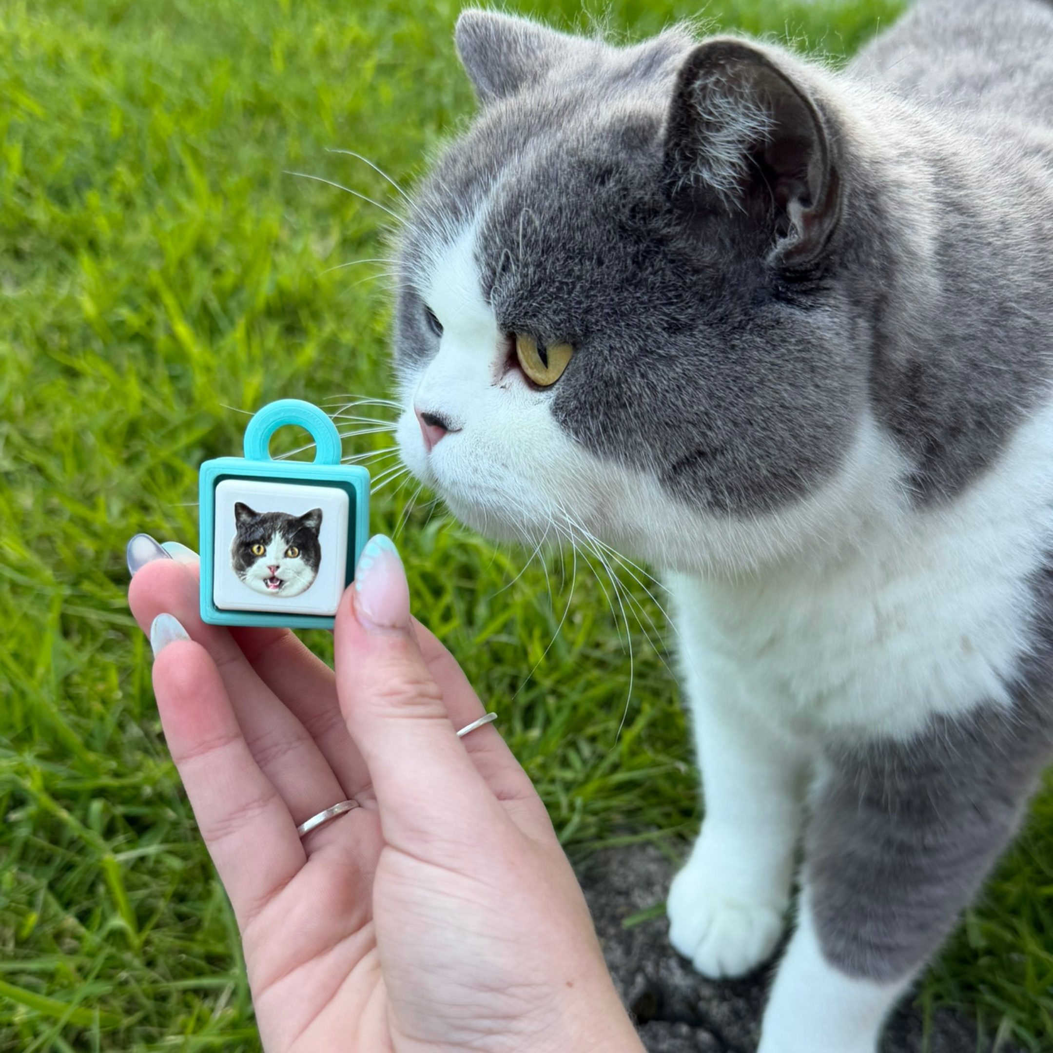 My Pet Clicker | Personalised Pet Photo Fidget