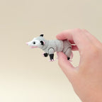 Possum