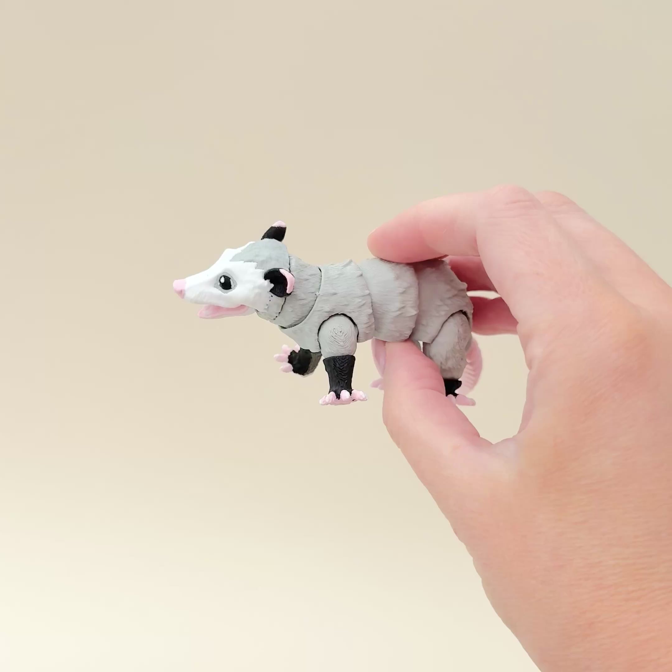 Possum