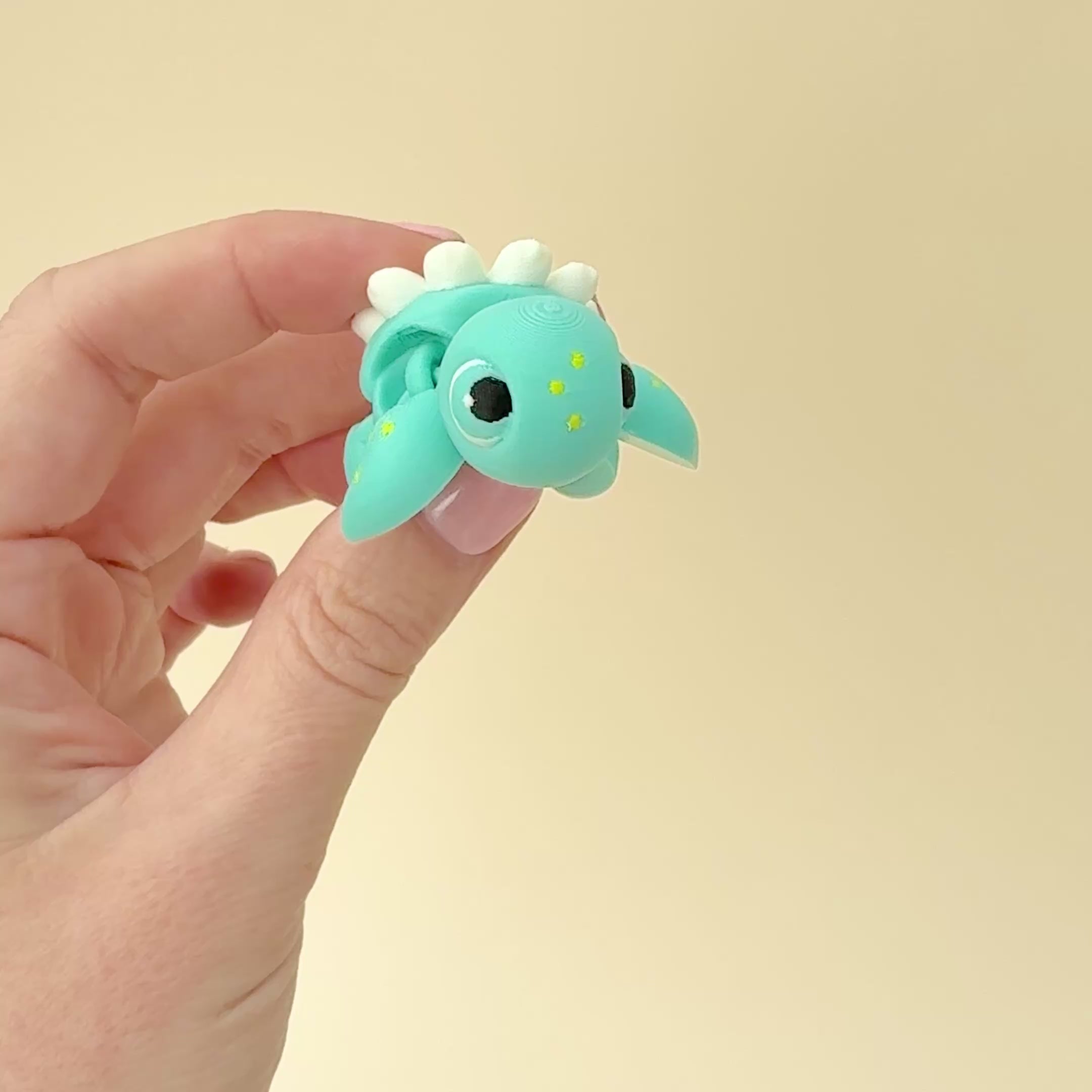 Daisy Turtle